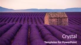 Presentation with old stone age - Presentation design enhanced with lonely old abandoned stone house background and a violet colored foreground