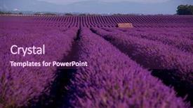  Presentation with old house - Cool new presentation design with lonely old abandoned stone house backdrop and a violet colored foreground