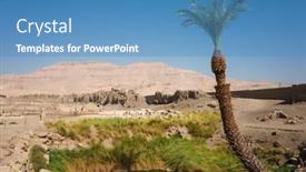  Presentation with archaeological - Slides featuring lonely-palm-tree-and-green background and a teal colored foreground