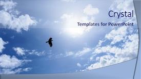  Presentation with crow - Colorful presentation theme enhanced with lonely raven or crow backdrop and a sky blue colored foreground