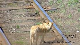  Presentation with abandoned - Cool new presentation design with lonely sad homeless abandoned red backdrop and a coral colored foreground