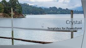  Presentation with fishing nets - Slide deck featuring lonely-seagull-perched-on-sticks background and a light blue colored foreground