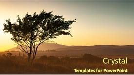  Presentation with tree silhouette - Amazing PPT layouts having lonely-silhouette-tree-in-sunlight backdrop and a tawny brown colored foreground