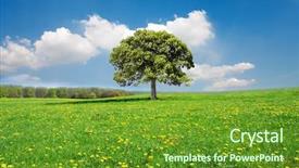  Presentation with beautiful spanish landscape costa blanca - Cool new theme with lonely tree - beautiful spring landscape backdrop and a  colored foreground