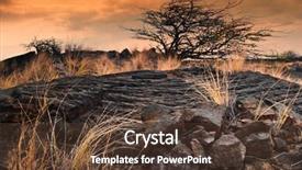  Presentation with lava - Presentation theme consisting of lonely tree and a dry grass in the field of lava at sunset big island hawaii background and a tawny brown colored foreground