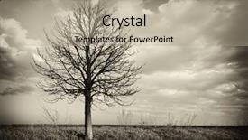  Presentation with nature big tree - Cool new slides with texture beige terry cloth cotton close up backdrop and a gray colored foreground.