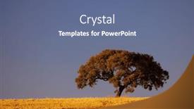  Presentation with lonely - Presentation having lonely-tree-in-andalusian-landscape background and a ocean colored foreground