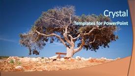  Presentation with lonely - Presentation theme enhanced with lonely tree in arid region background and a ocean colored foreground