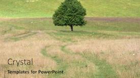  Presentation with lonely - Presentation design enhanced with lonely-tree-in-countryside background and a coral colored foreground