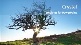  Presentation with lonely - Beautiful PPT layouts featuring lonely tree in mountain composition backdrop and a teal colored foreground