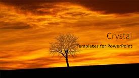  Presentation with tree silhouette - Theme with lonely-tree-on-a-sloping background and a gold colored foreground
