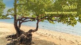  Presentation with lonely - Presentation featuring lonely-tree-on-a-tropical background and a tawny brown colored foreground