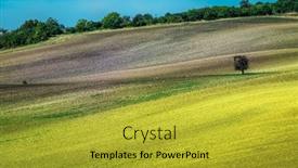  Presentation with lonely - Presentation design featuring lonely-tree-on-an-empty background and a gold colored foreground