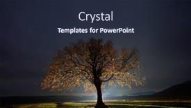  Presentation with romania - Cool new slides with lonely-tree-on-field-under backdrop and a wine colored foreground