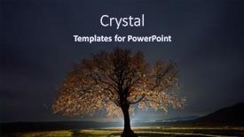  Presentation with night sky - Beautiful PPT layouts featuring lonely-tree-on-field-under backdrop and a wine colored foreground