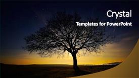 Presentation with dawn - Cool new PPT layouts with lonely tree on field at dawn backdrop and a black colored foreground