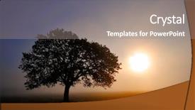  Presentation with lonely - Audience pleasing slides consisting of lonely tree on field backdrop and a gray colored foreground