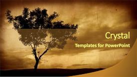  Presentation with lonely - Audience pleasing presentation theme consisting of lonely tree on grungy background backdrop and a tawny brown colored foreground