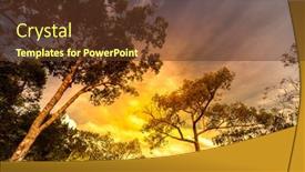  Presentation with lonely - Beautiful presentation theme featuring red fruit compote and vintage ladle provence still life backdrop and a violet colored foreground