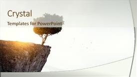  Presentation with lonely - Amazing slide set having lonely tree on rock top backdrop and a sky blue colored foreground