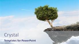  Presentation with lonely - Audience pleasing presentation theme consisting of lonely tree on rock top mixed media backdrop and a sky blue colored foreground
