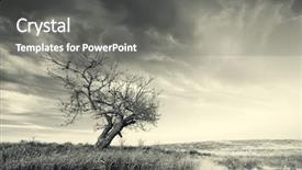  Presentation with lonely - PPT layouts with lonely tree on sundown nature background and a gray colored foreground