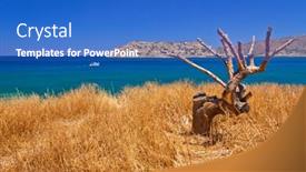  Presentation with crete island - Amazing theme having lonely-tree-on-the-coast backdrop and a teal colored foreground