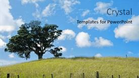  Presentation with lonely - Slide set with lonely-tree-on-the-top background and a light blue colored foreground