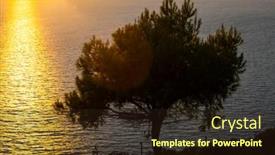  Presentation with tree silhouette - Theme having lonely tree silhouette against the golden sunset background and a wine colored foreground