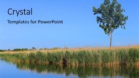  Presentation with water blue sky and peaceful - Presentation theme with lonely tree with blue sky background and a  colored foreground