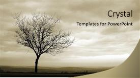  Presentation with lonely - Audience pleasing slides consisting of lonely tree backdrop and a mint green colored foreground