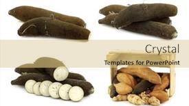  Presentation with root - PPT layouts consisting of long-black-winter-radishes-raphanus background and a yellow colored foreground