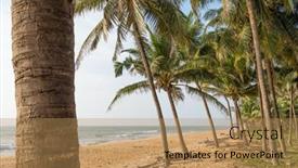  Presentation with coconut - PPT theme with long-empty-tropical-beach background and a coral colored foreground