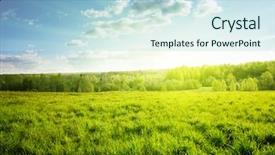  Presentation with forest beautiful spring nature - Amazing PPT layouts having long grass - sunset in spring forest backdrop and a  colored foreground