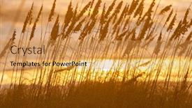  Presentation with sand dunes - Beautiful slide deck featuring growing in beach sand dune backdrop and a yellow colored foreground