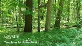  Presentation with new york state - PPT theme having long-point-state-park-new background and a forest green colored foreground