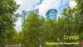  Presentation with pathway - Slide deck consisting of long row of trees along a pathway in park background and a tawny brown colored foreground