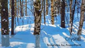  Presentation with forest morning - Audience pleasing slide set consisting of long shadows cross snow drifts great frosty morning in the winter forest lapland arctic the concept of extreme active and phototourism backdrop and a light blue colored foreground