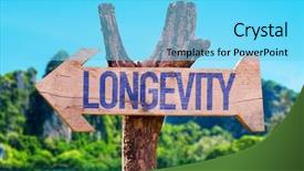  Presentation with america arrow - Slide set with longevity arrow with beach background background and a light blue colored foreground