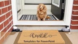  Presentation with dachshund - PPT layouts having longhair-dachshund-sitting background and a coral colored foreground