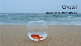  Presentation with fish beach - PPT theme enhanced with longing - gold fish in sand beach background and a light blue colored foreground