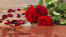  Presentation with mother love - Slide set featuring longing - roses as a gift background and a red colored foreground