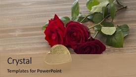  Presentation with roses - Slide set with longing - roses for valentine's day background and a coral colored foreground
