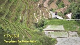  Presentation with rice fields - 