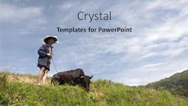  Presentation with rice field - Theme enhanced with longji-china-may-23 background and a light blue colored foreground