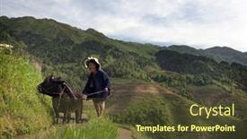  Presentation with rice field - Colorful slide deck enhanced with longji-china-may-23 backdrop and a tawny brown colored foreground