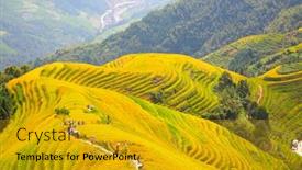  Presentation with rice terraces - Slide set having longsheng-rice-terraces-dragon-s background and a gold colored foreground