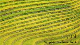  Presentation with rice terraces - Colorful PPT layouts enhanced with longsheng-rice-terraces-dragon-s backdrop and a gold colored foreground