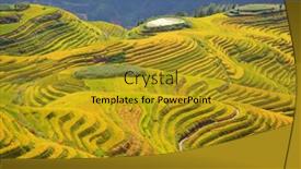  Presentation with rice terraces - PPT layouts featuring longsheng-rice-terraces-dragon-s background and a gold colored foreground