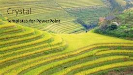  Presentation with rice terraces - Amazing PPT layouts having longsheng-rice-terraces-dragon-s backdrop and a yellow colored foreground